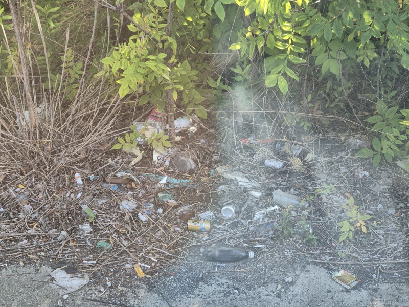 Who taught their offspring it’s ok to litter?