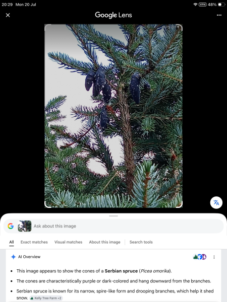 What are these?