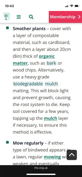 Advice on dealing with bindweed while protecting hedgehogs and garden worms