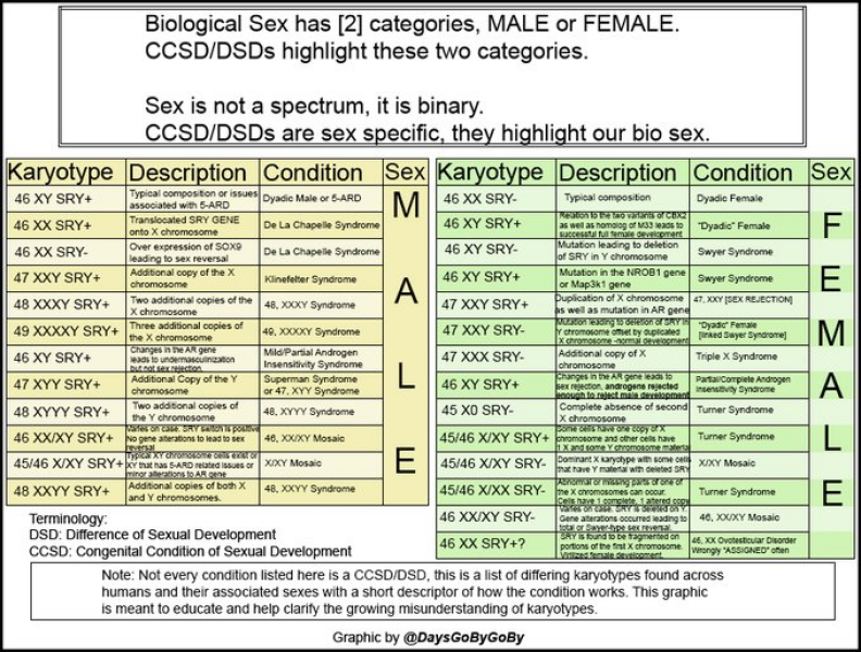 Brave reporter undergoes inhumane sex test for sports. Brace yourselves.