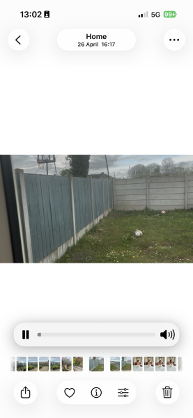 Help with ideas for my garden please