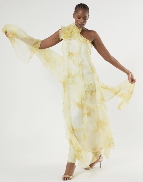 Plus size non-wedding wedding dress
