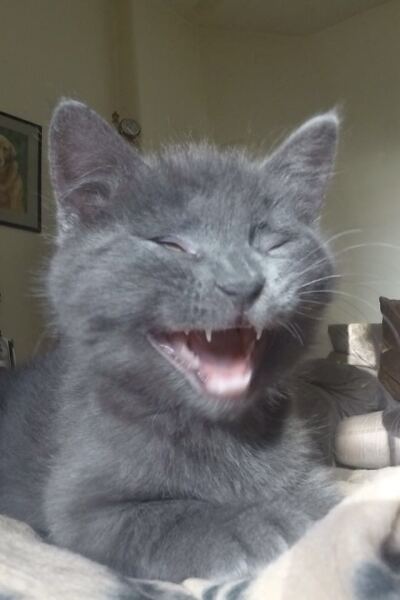 Silly photo time