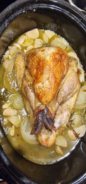 Guinea Fowl- first time cooking/trying it