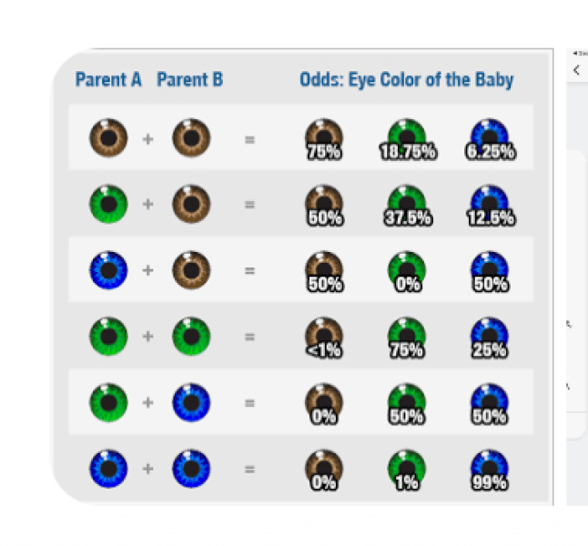 What hair/eye colour do your children have with very different-looking parents?