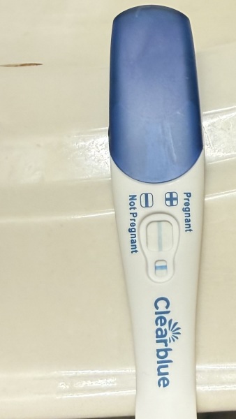 Pregnancy Test
