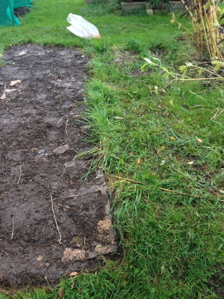 Stopping weeds growing using cardboard