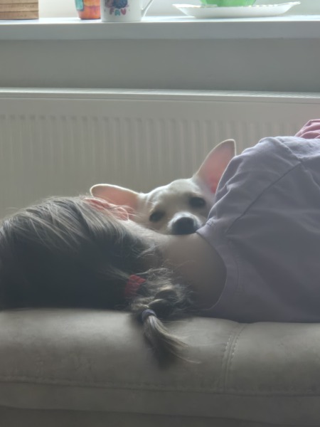 To strongly dislike small dogs