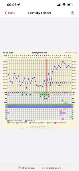 BBT CHART- 12DPO HELP!!
