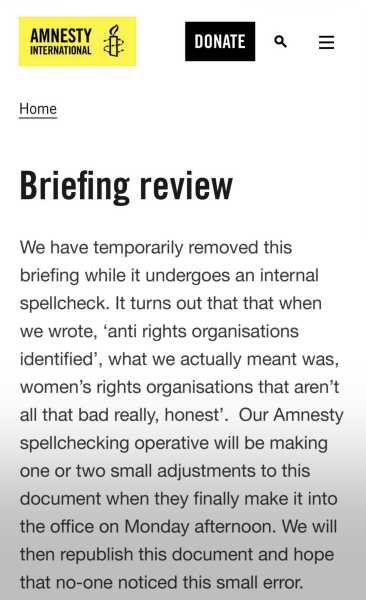 In which Amnesty jumps the shark