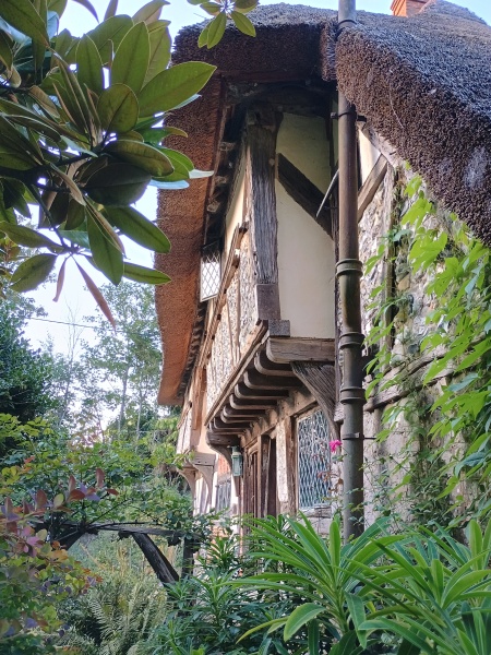 The Bluestocking Women's Pub:  Where the Bluebird Sings to the Lemonade Springs