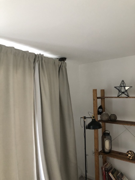 Squirrel 🐿️ hiding behind curtains!