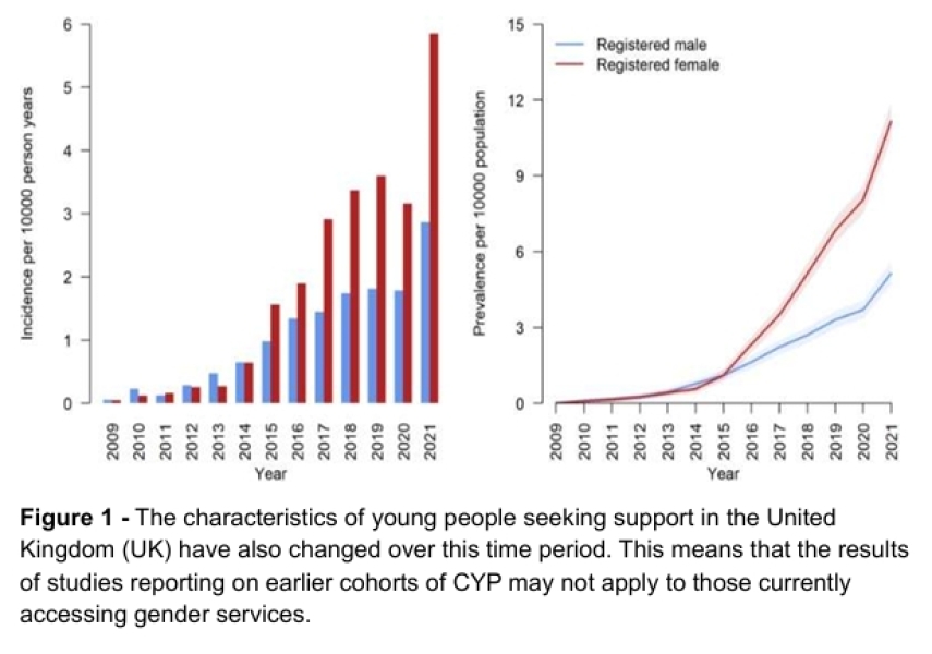 Hilary Cass sent a document to every single MP and Peer, justifying and defending the puberty blockers trial