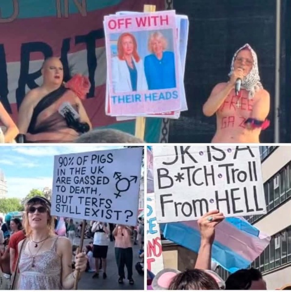 The GLP-supported Trans Unity Quilt?