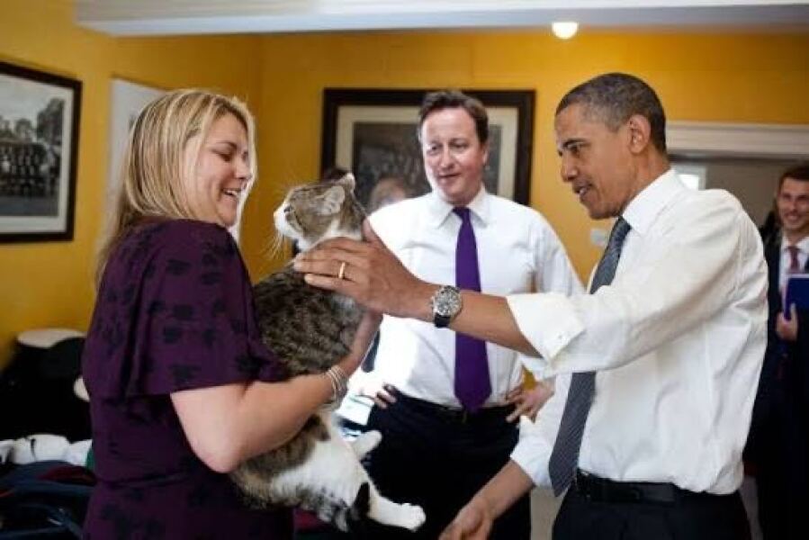 Larry the Downing Street cat