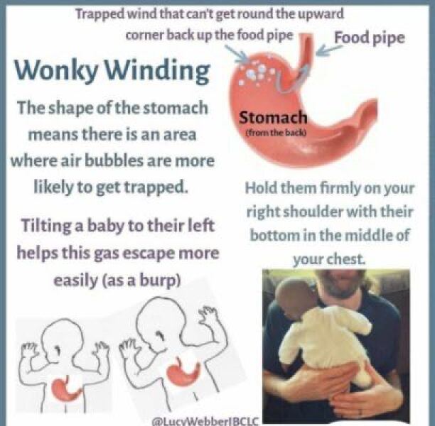 GP says five week old formula fed baby is being overfed