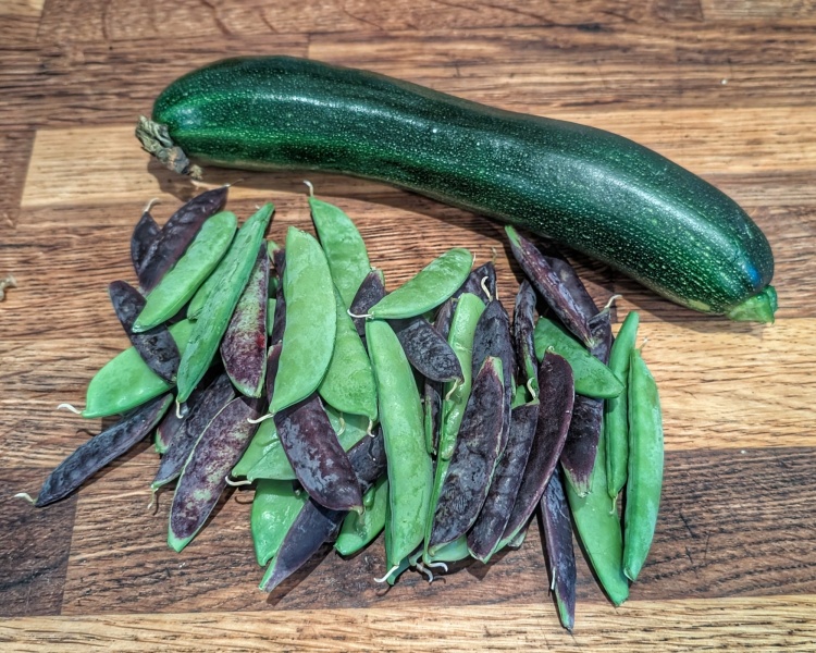 2026 Allotmenteers - have we lost the plot?!