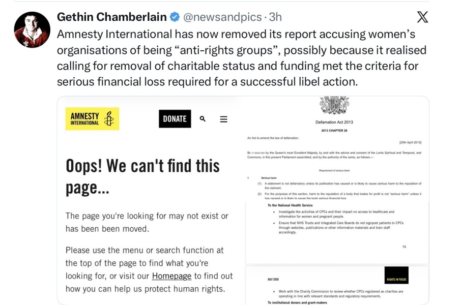 In which Amnesty jumps the shark
