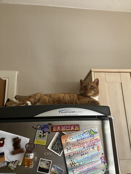 Silly photo time
