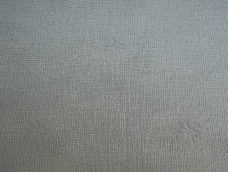 Can anyone identify this likely discontinued anaglypta wallpaper for one wall
