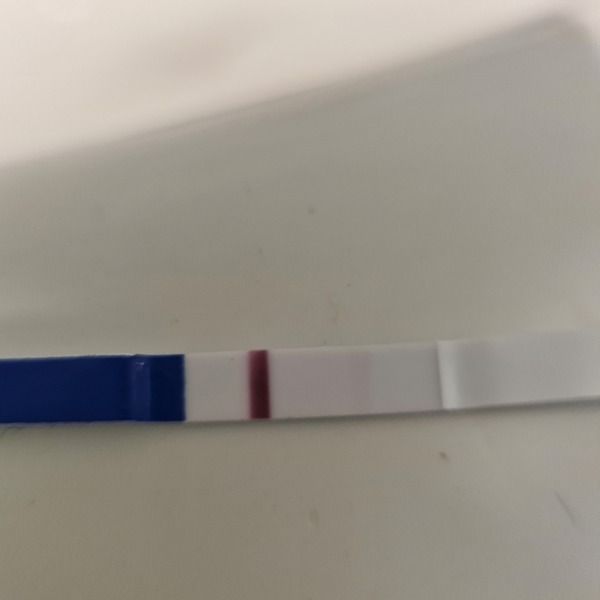Experience with one step cheapies