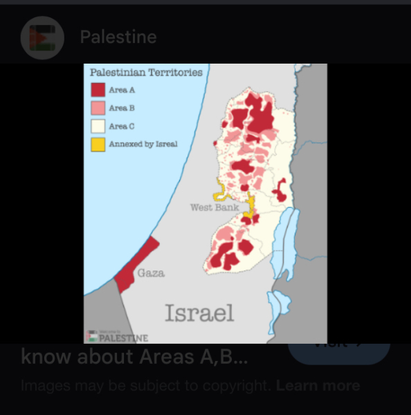 Concerns about Israeli plans for Gaza and Palestinian displacement