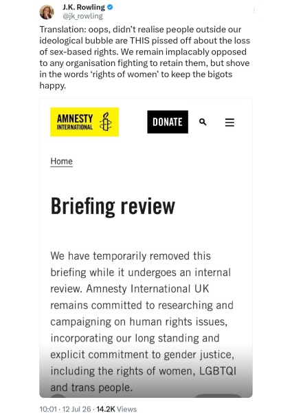 A growing threat: the anti-rights movement in the UK says Amnesty who claim over 50% are Gender Critical groups