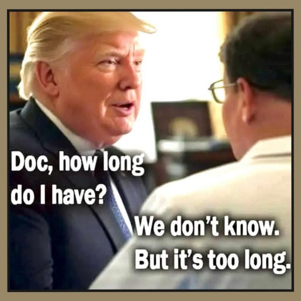Oh, peacemaker, peacemaker make me some peace - Trump Thread #167