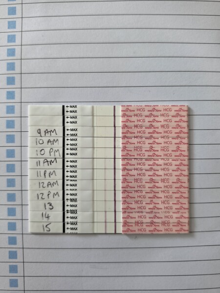Line Progression, Symptoms & Temperature