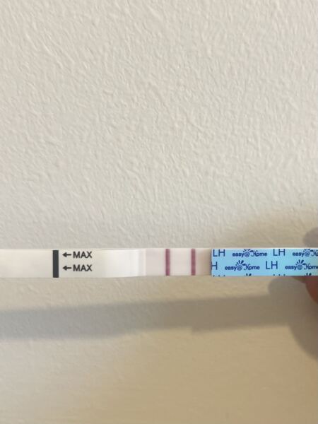 Chances of ovulation after miscarriage?