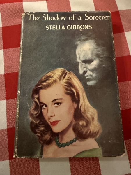 My year with Stella...