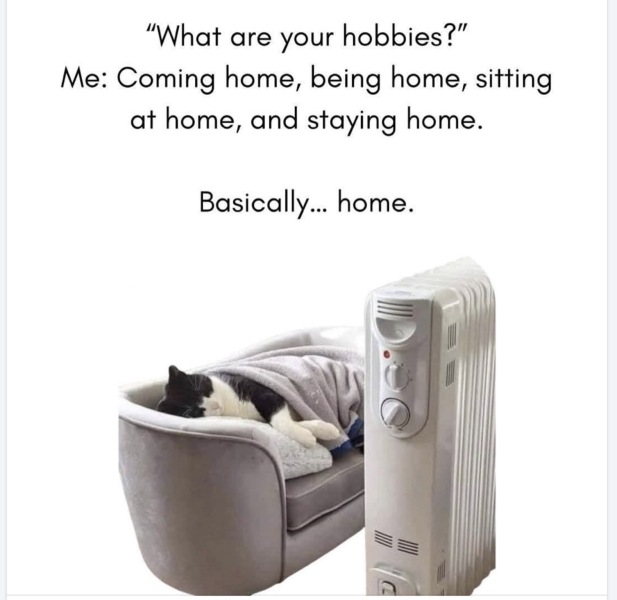 AIBU to worry my retired parents never want to go out?