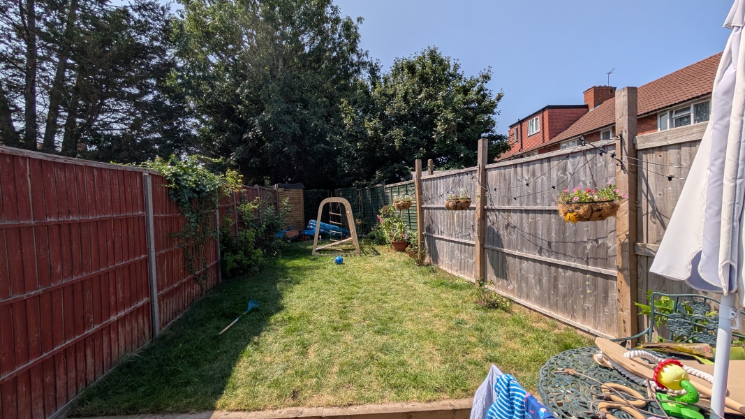 Help a novice choose a tree or shrub which can be ornamental?