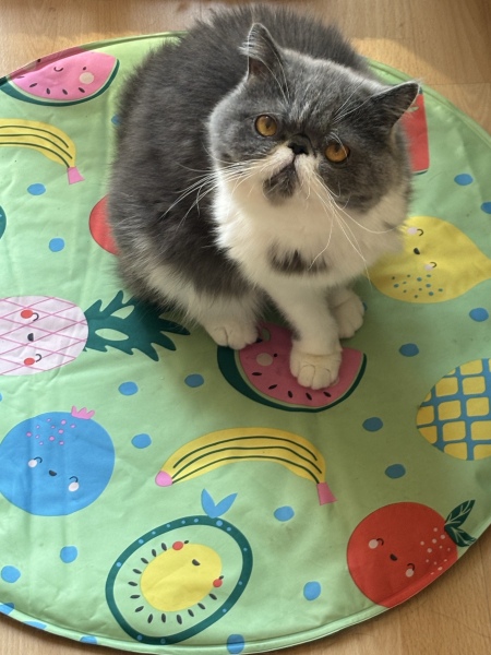 Cooling mat