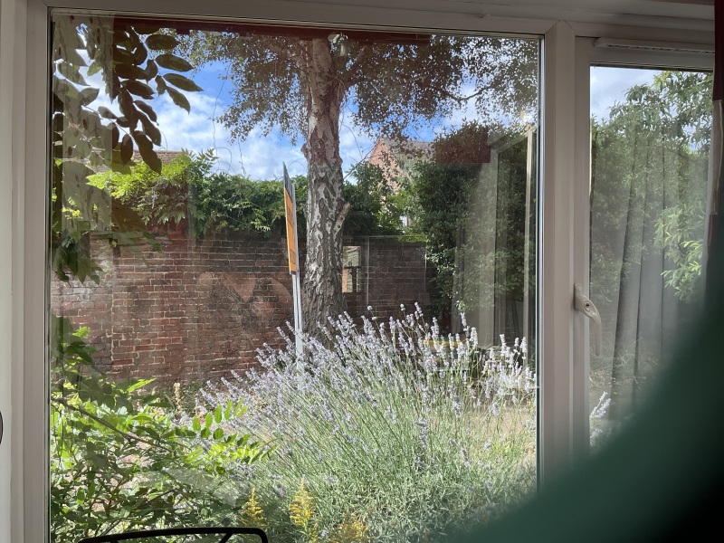 Can I ask my opposite neighbours to remove their reflective window film?