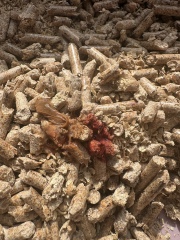 TW Photo Of Blood And Poo