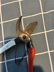 How to clean shears?