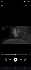 Reminder to leave out fresh water for garden wildlife in hot weather