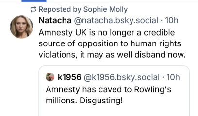 In which Amnesty jumps the shark