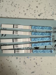 Pregnant or not? That is the question!