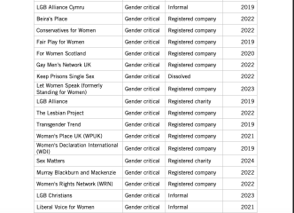 A growing threat: the anti-rights movement in the UK says Amnesty who claim over 50% are Gender Critical groups