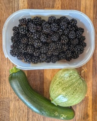 Has anyone started picking blackberries yet this summer?