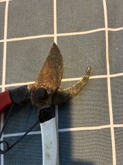 How to clean shears?