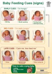 GP says five week old formula fed baby is being overfed