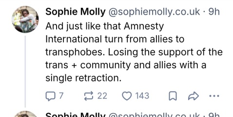 In which Amnesty jumps the shark