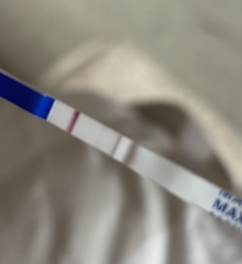 Have we timed sex well this month for TTC?