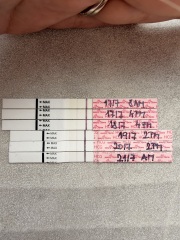 Worried about test line progression at 8dp5dt after IVF