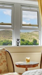 Does anyone have upvc sash windows?