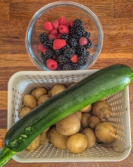 Has anyone started picking blackberries yet this summer?