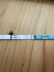 Trying to conceive with PCOS and long run of near positive ovulation tests